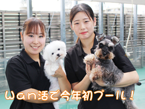 ドッグランでモデル犬とプール♪～1日目～